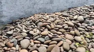 Pebbles @ wholesale price | Pebble shop visit | 1 kg =12 ₹ | Garden Outdoor Table I AMBADY PEBBLES 🔥