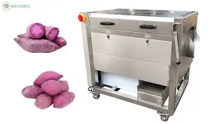 MNS-QP800 Purple Yum Sweet Potato Peeling Machine| Carrots Peeler Machine