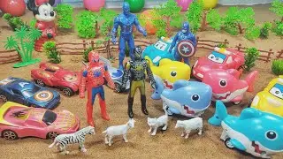Super Hero Toy and Chhota Bheem Toy Story