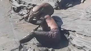 Tout le monde est choqué en regardant l'homme lutter dans la boue. Il risque tout pour un animal