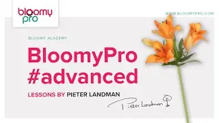 BLOOMYPRO ADVANCED LESSON (virtual flower arranging)