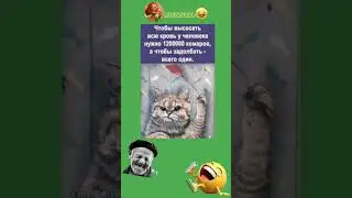 1200000 Комаров: 😀🤪😀🤪