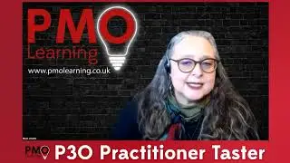 P3O® Practitioner Taster