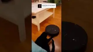 Cat vs Roborock E4