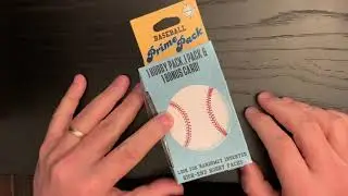 Day 187 A Pack a Day - Prime Pack Monday! 2020 Gypsy Queen and 2015 Donruss. I&rsquo;m digging these.