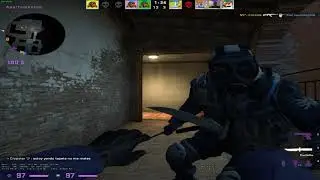 Toma por mogolico
