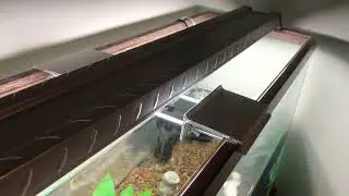 Fix For Fish Tank Brace (NO BS METHOD)