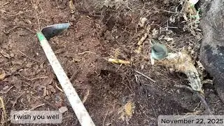 1 Inch of Magic: Preparing a New Garden Bed with Recycled Compost (3 Simple Steps)