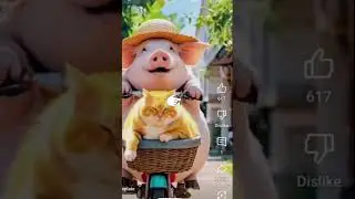 Funny Cat With Cute Pig#DramaCat #FunnyCatShorts #CatLifeUSA #PetParents #shorts_video