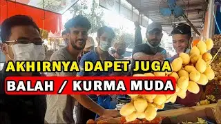 KELILING CARI BALAH / KURMA MUDA DI GAZA [ Reza Aldilla ]
