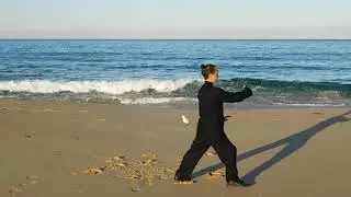 Sapphire Tai Chi 16 Forms (back view)