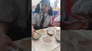 Science Sprouts Project and Explanation  ||About Sprouts in science exhibition || #sprouts #project