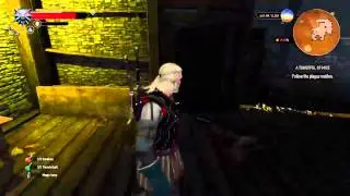 The Witcher 3: Wild Hunt | A Towerful Of Mice - Defeat The Plaque Maiden
