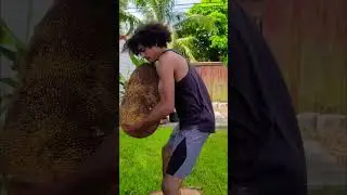 Have you ever tried JackFruit? Is my description of the flavor accurate?