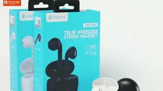 W3 TWS Airpods