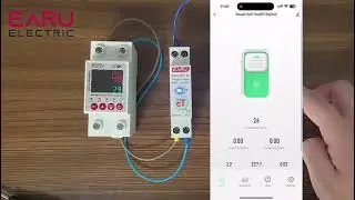 Tuya WiFi Smart Circuit Breaker MCB 1P+N 63A Timer Power Energy kWh