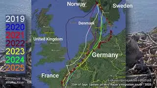 Fru/Mrs Rauer seasonal migration update - Sept 25th - 2025