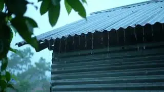 99% of You Will Fall Asleep Fast to Heavy Rain Pouring on Tin Roof & Mighty Thunder at Farmhouse