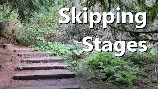 Can You Skip Stages in Consciousness and Spiritual Progression? (forest walk & chat)