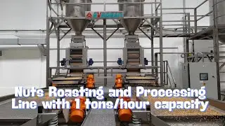 Roasting and Processing Line with/ 1 tons/hour capacity. #factory #foodindustry #hazelnut