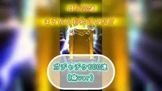 ガチャチケ600連(森ver)
