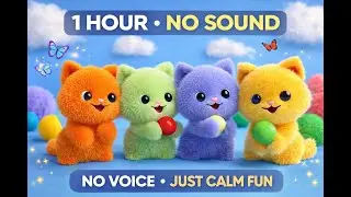 Colorful Calm Cats Video for Kids | 1 Hour | No Sound No Voice
