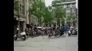 Polacy w Amsterdamie