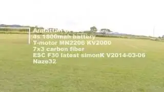 CF258 Peregrine Falcon part 2