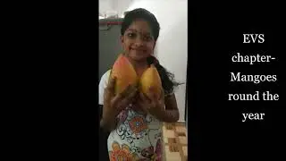 St Gregorious School, Changannur, Mamidi Tandra by Nikhitha - Std V