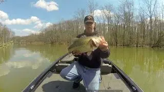 6 lbs Largemouth Bass Early Spring Bassin' on Foster Branch Joppatowne, Maryland