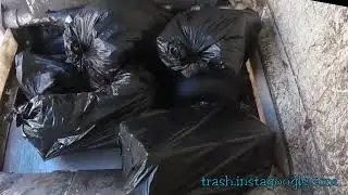 Why Do Garbage Bags Smell So Bad? 🚮 | Science Behind the Stench