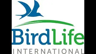 Join the Saudi Birding team for the October Big Day and Help Support BirdLife International!