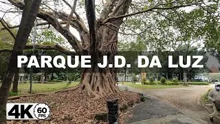 [4K60fps] Walking Parque Jardim da Luz Sao Paulo Brazil -MT4K-