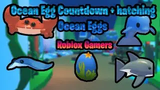 Adopt me Ocean Egg countdown and hatching ocean eggs