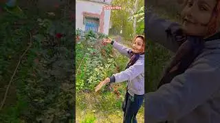 বাগানে ফুলে ফুলে ভরে উঠেছে #garden #gardening #flowers #nursery #UpdateGardening #chadbagan
