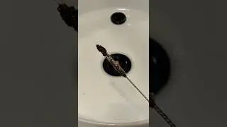 Drain deep clean #draincleaning #cleaning #deepcleaning