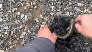 The best trouts fishing in Cherokee NC