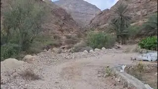 14 ديسمبر، 2025