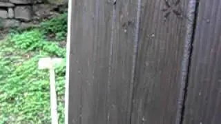 Canon Ixus 300HS - Slow Motion 