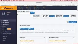 WHY BITCONNECT BCC TOKEN PRICE IS NOT GOING IN LINE WITH BITCOIN   BCC $297 BTC $9000