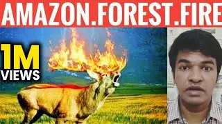 ⚠️ Amazon Forest Fire Explained  | Madan Gowri | Tamil | MG
