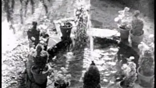GAS - D1 (Königsforst Vinyl)