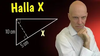 ¿Cómo se halla el segmento X del triángulo? | Tremendo problema