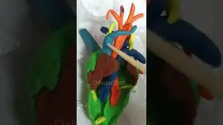 3D fetal  cardiac (heart) anatomy #drnupurshah #fetalechocardiography