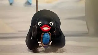 Pingu Sledge Academy. Постановка Стево, получившая премию Грэмми.