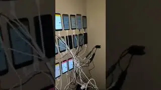 LIVE PEER TO PEER MINING | PTOP MINING L.L.C | BITCOIN MINING LIVE | HOW TO START BITCOIN MINING?