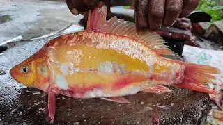 Professional Big Fish Cutting 🔪 Real Fish Market Cleaning and Cutting Process