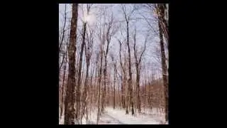 Tunnel Brook Road.wmv