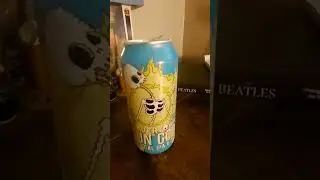 @Irishguydrinks... SUN GOD by BEAVERTOWN #beer #review #shorts #ireland #imo #sungod #music