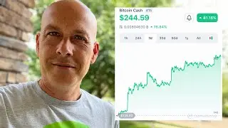 Bitcoin Cash Hitting Key Price Targets! $245+ BCH